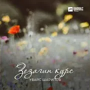 Фариза